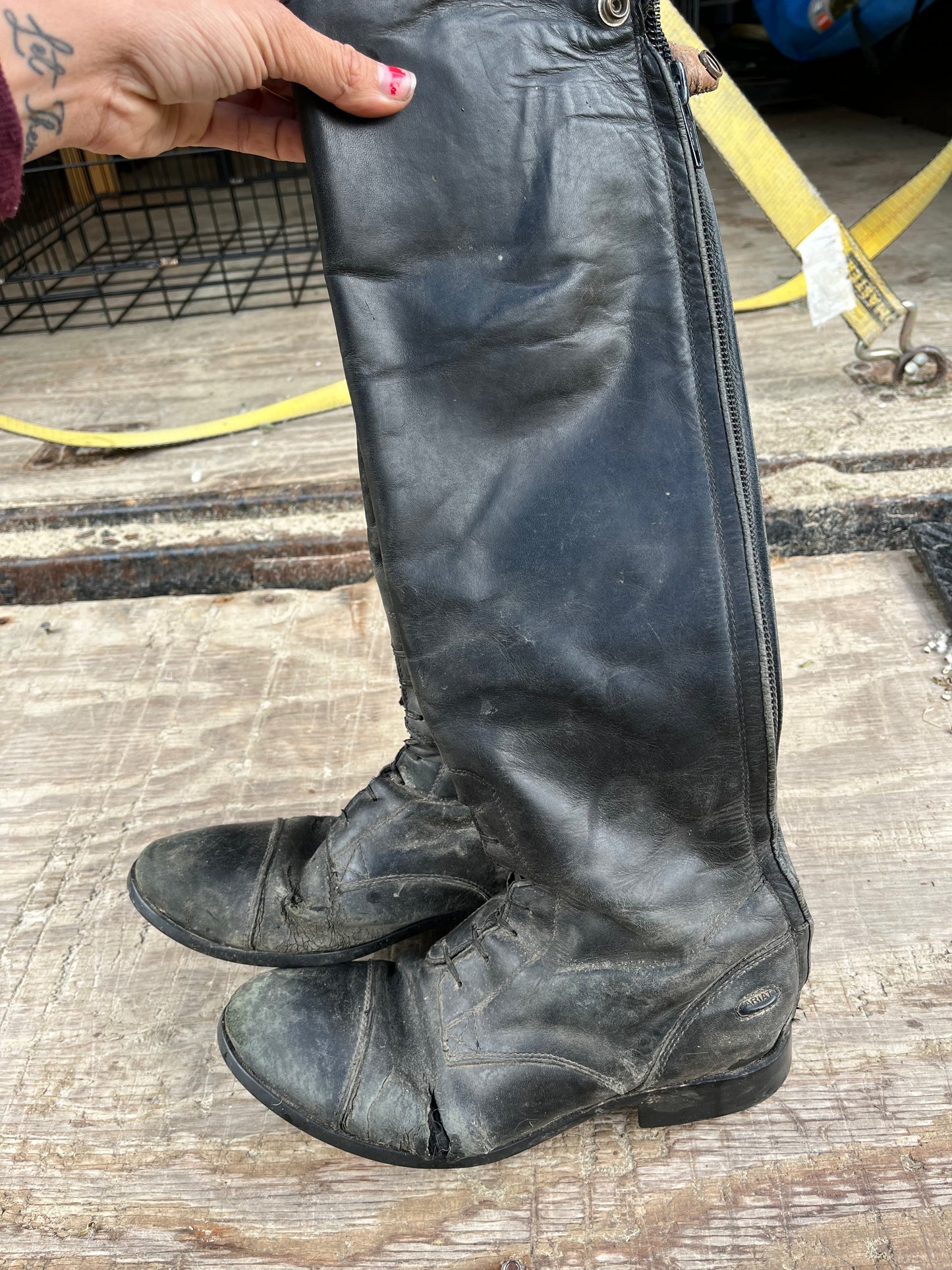 Ariat 9 slim schooling shape
