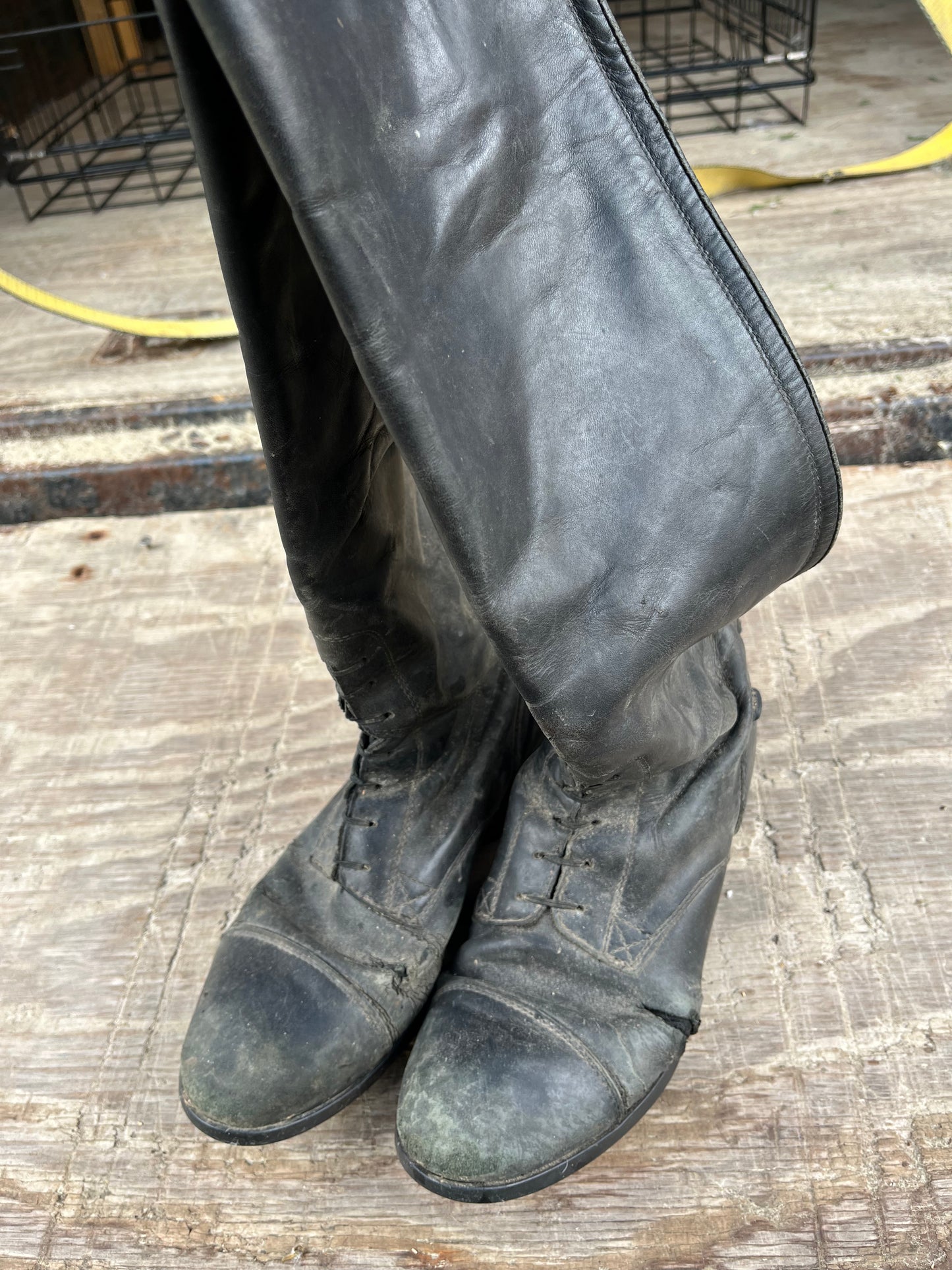Ariat 9 slim schooling shape