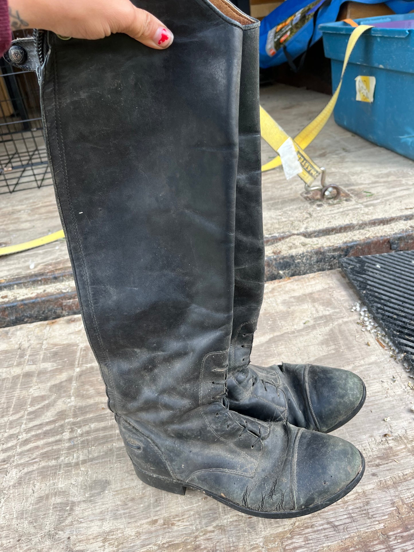 Ariat 9 slim schooling shape