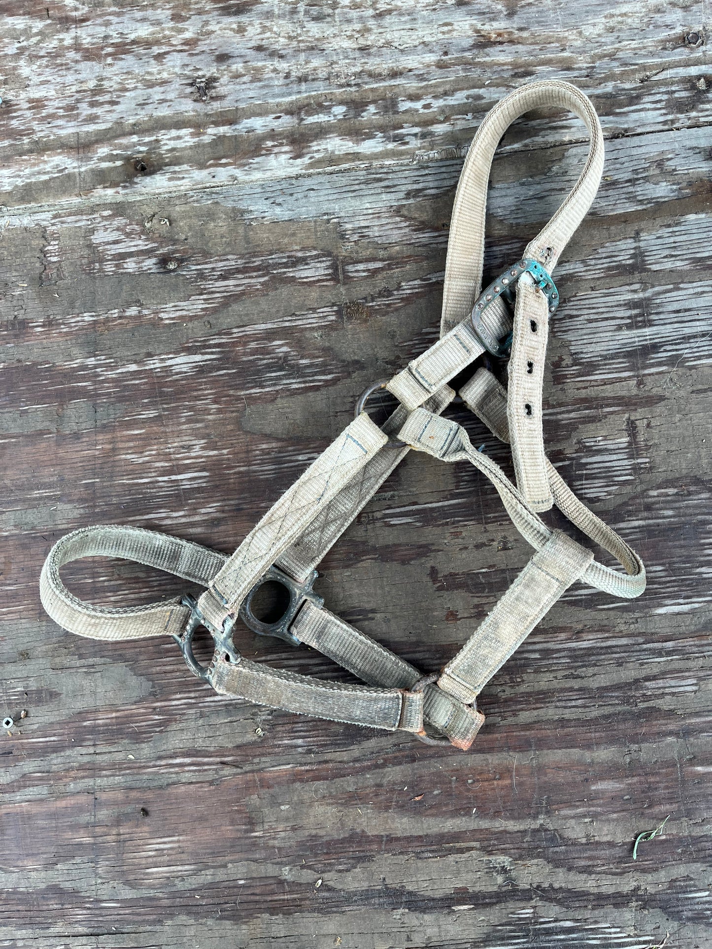Halter