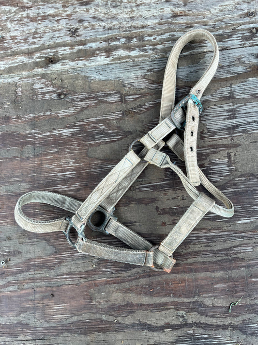 Halter