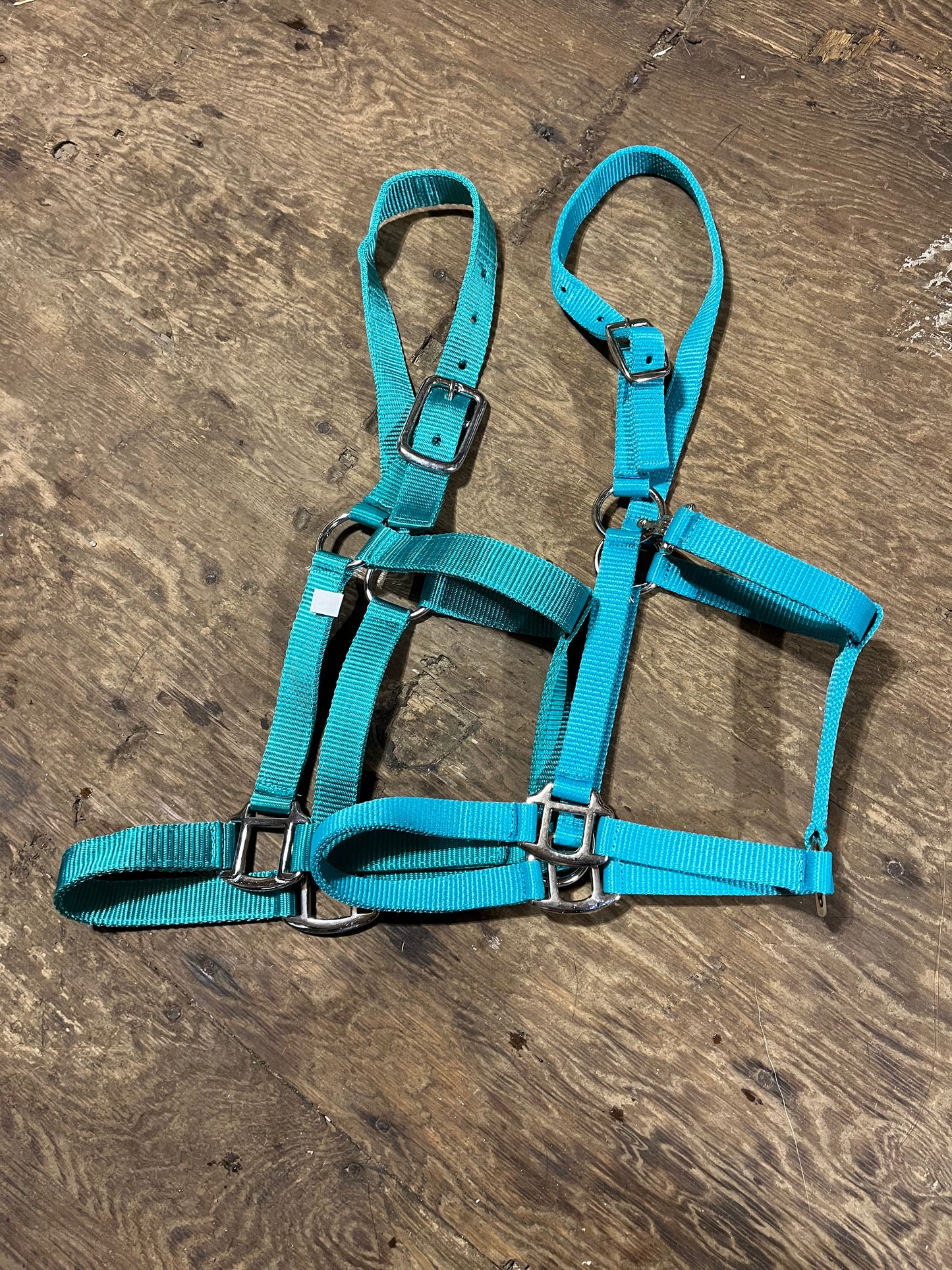 Pony halter x2