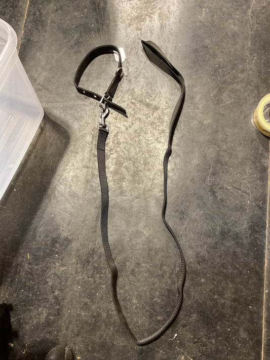 Collar and leash collar measures 21.5