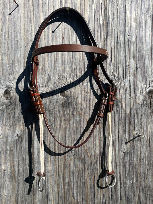Oiled harness leather browband gag headstall