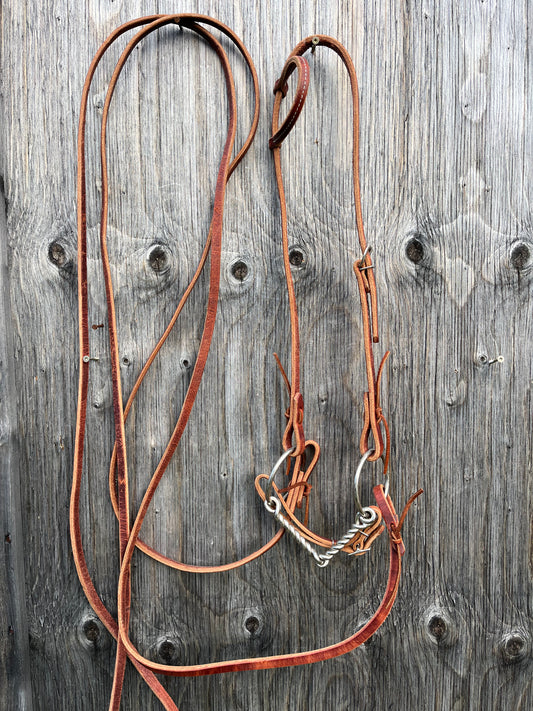 One ear bridle set up