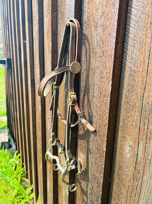 Headstall and bit