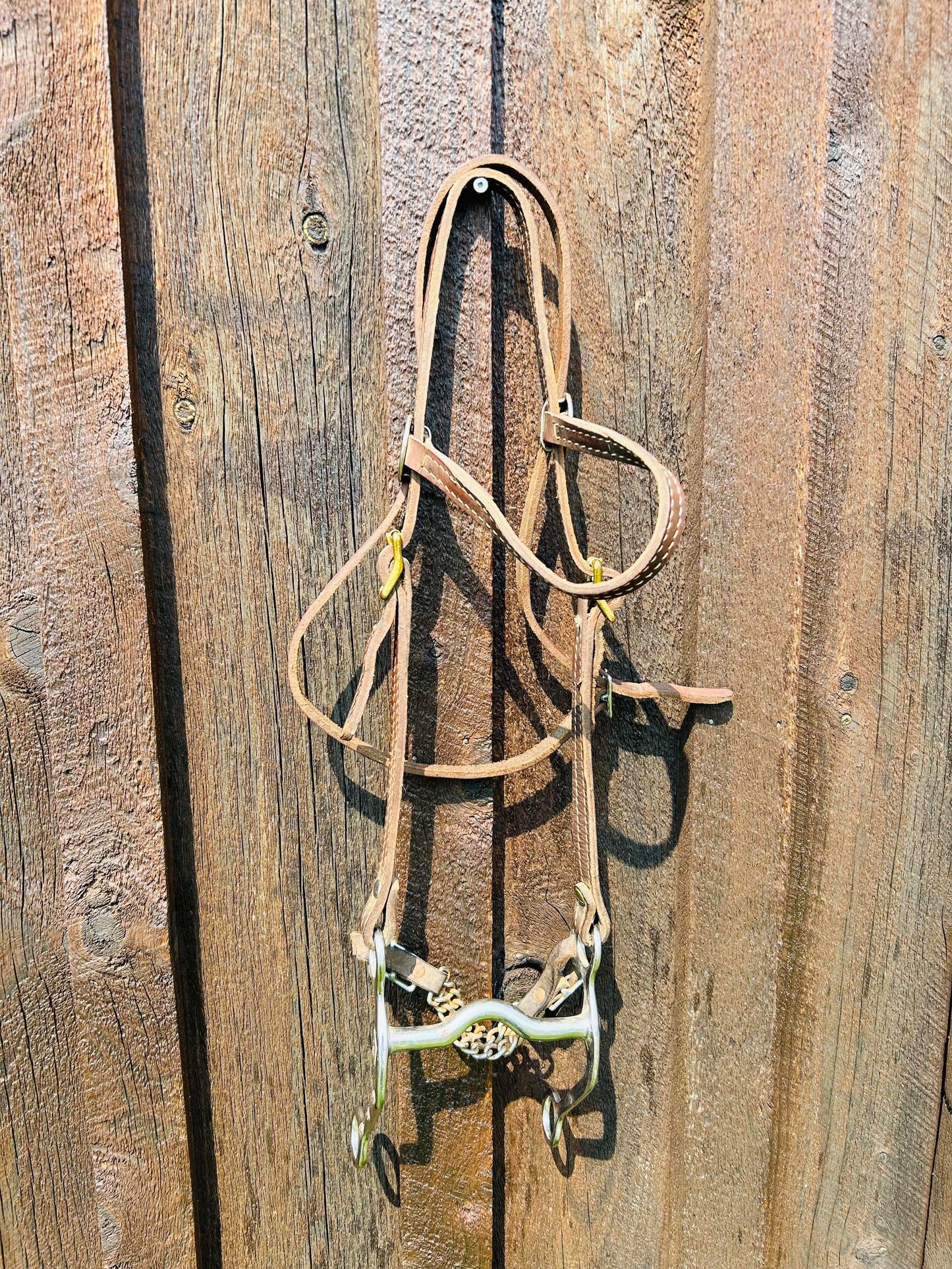 Headstall and bit