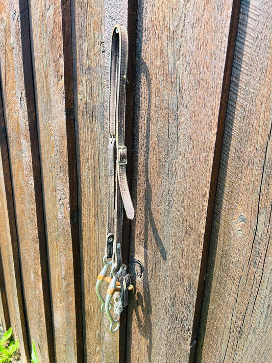 Headstall and bit