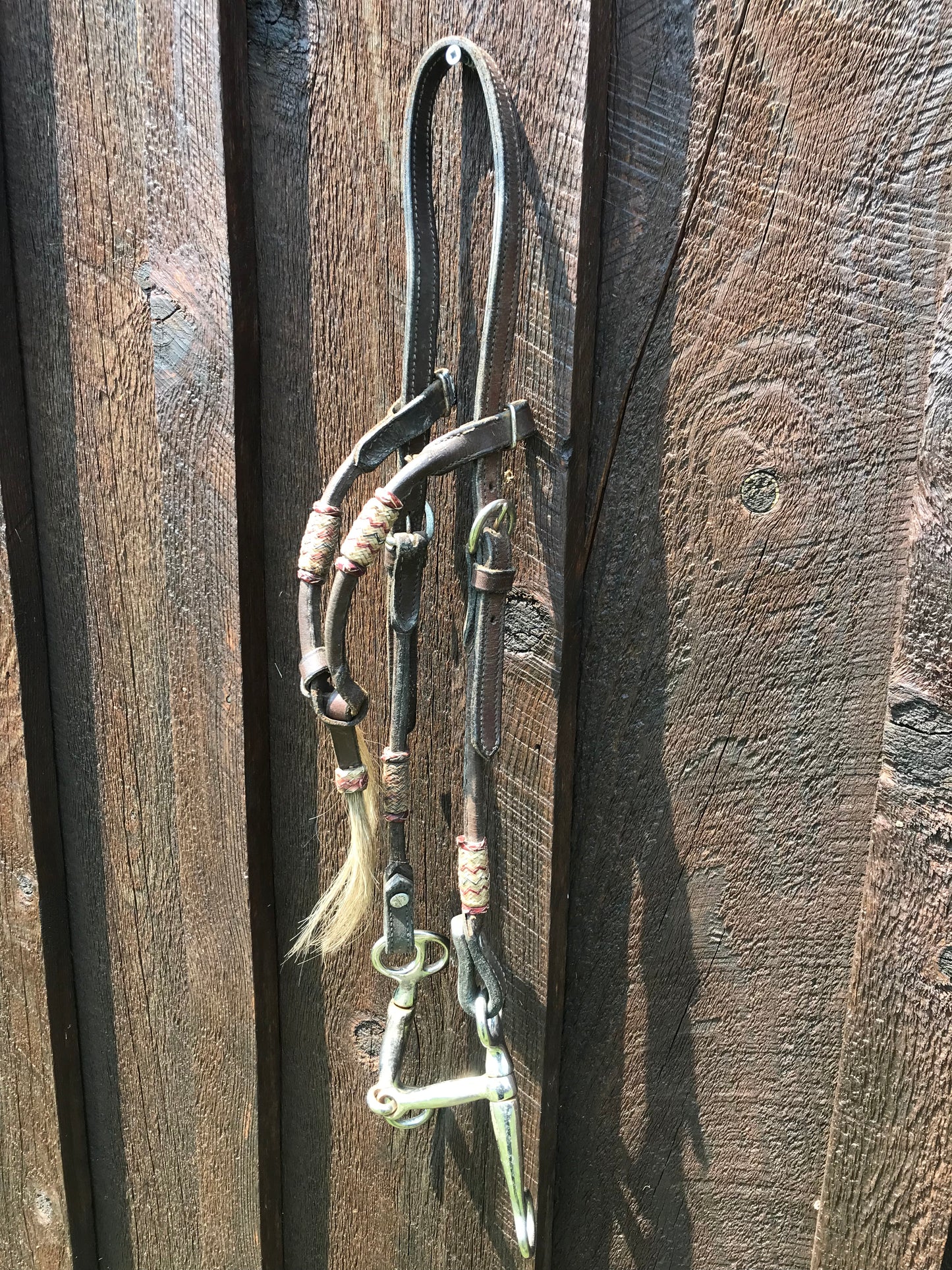 Headstall with bit