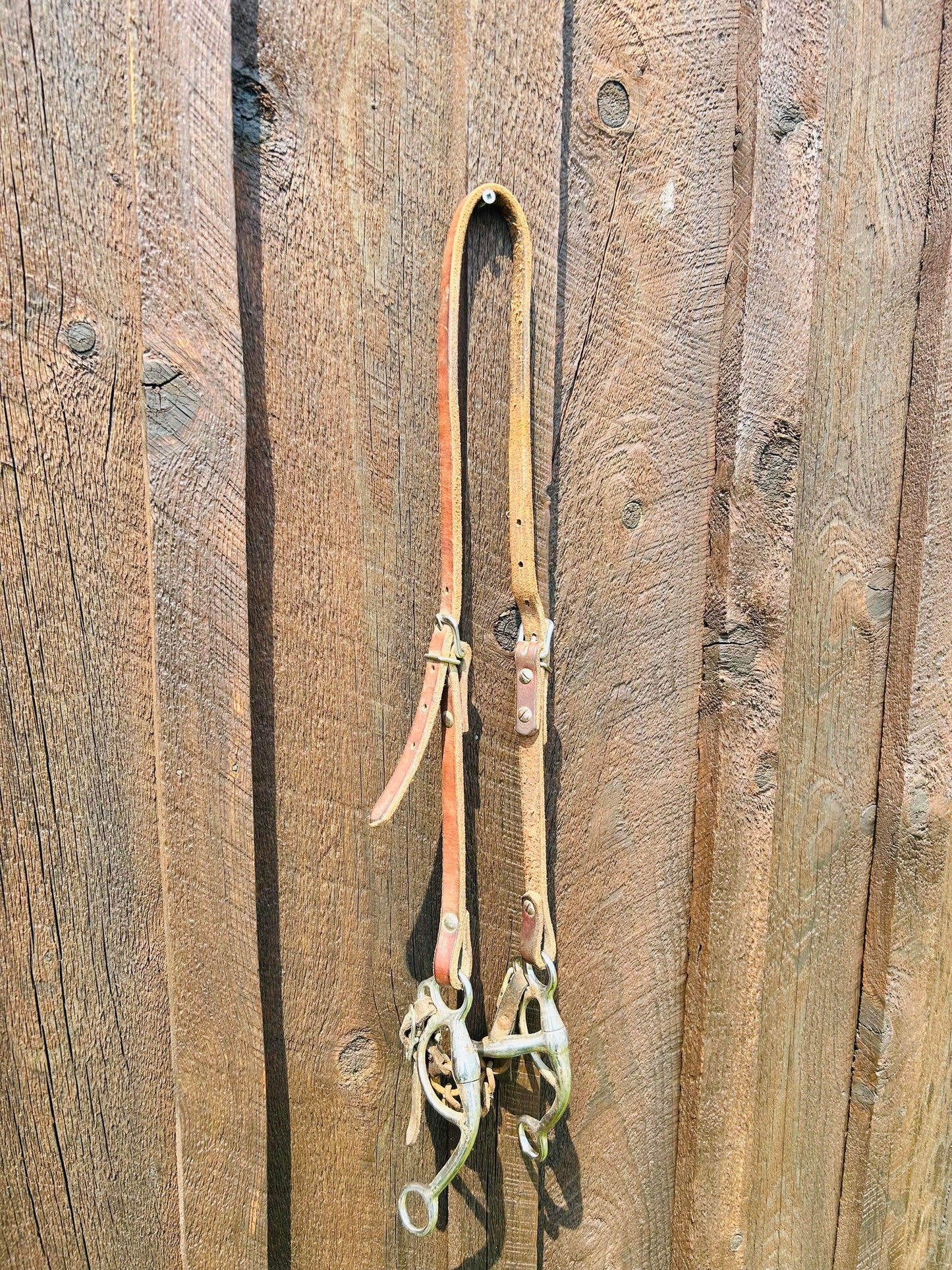 Harness leather headstall with bit