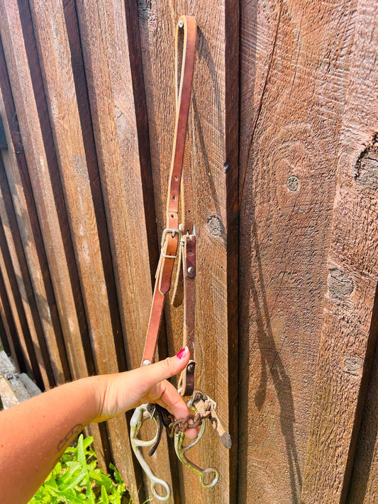 Harness leather headstall with bit