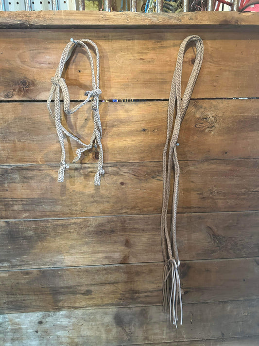 Pony headstall and reins