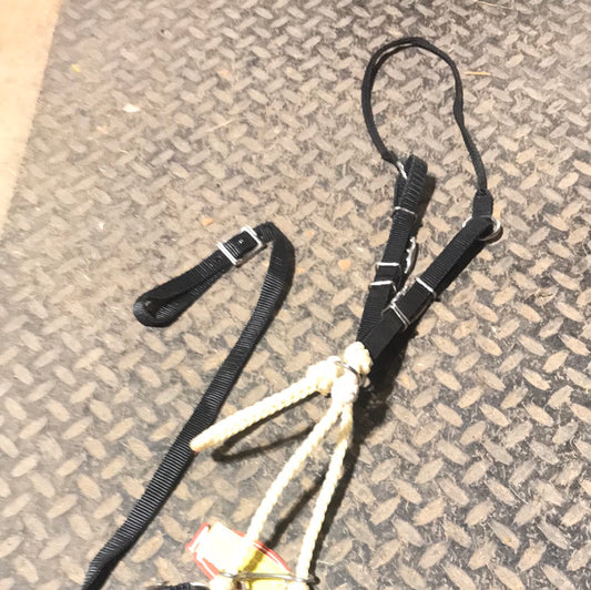 Lariat rope tie down with black nylon cheeks
