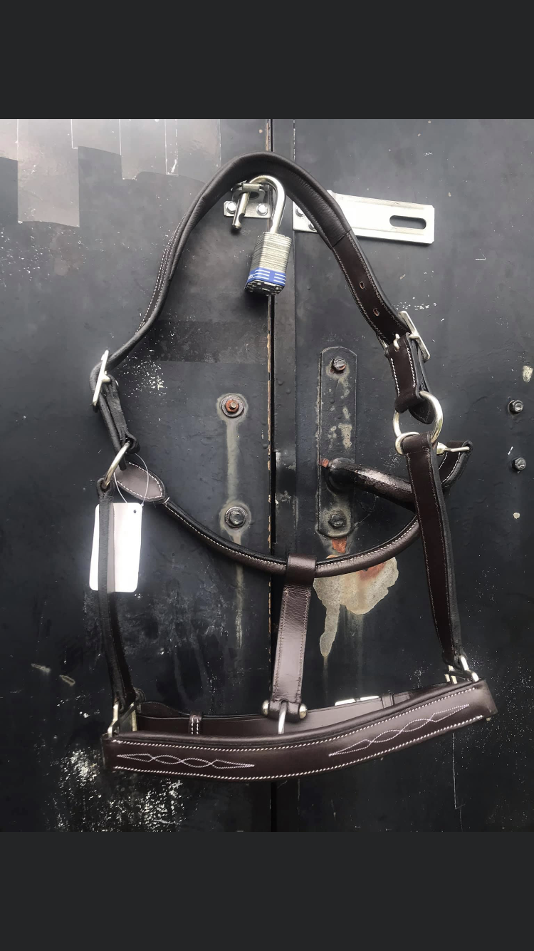 Fancy stitched padded leather halters