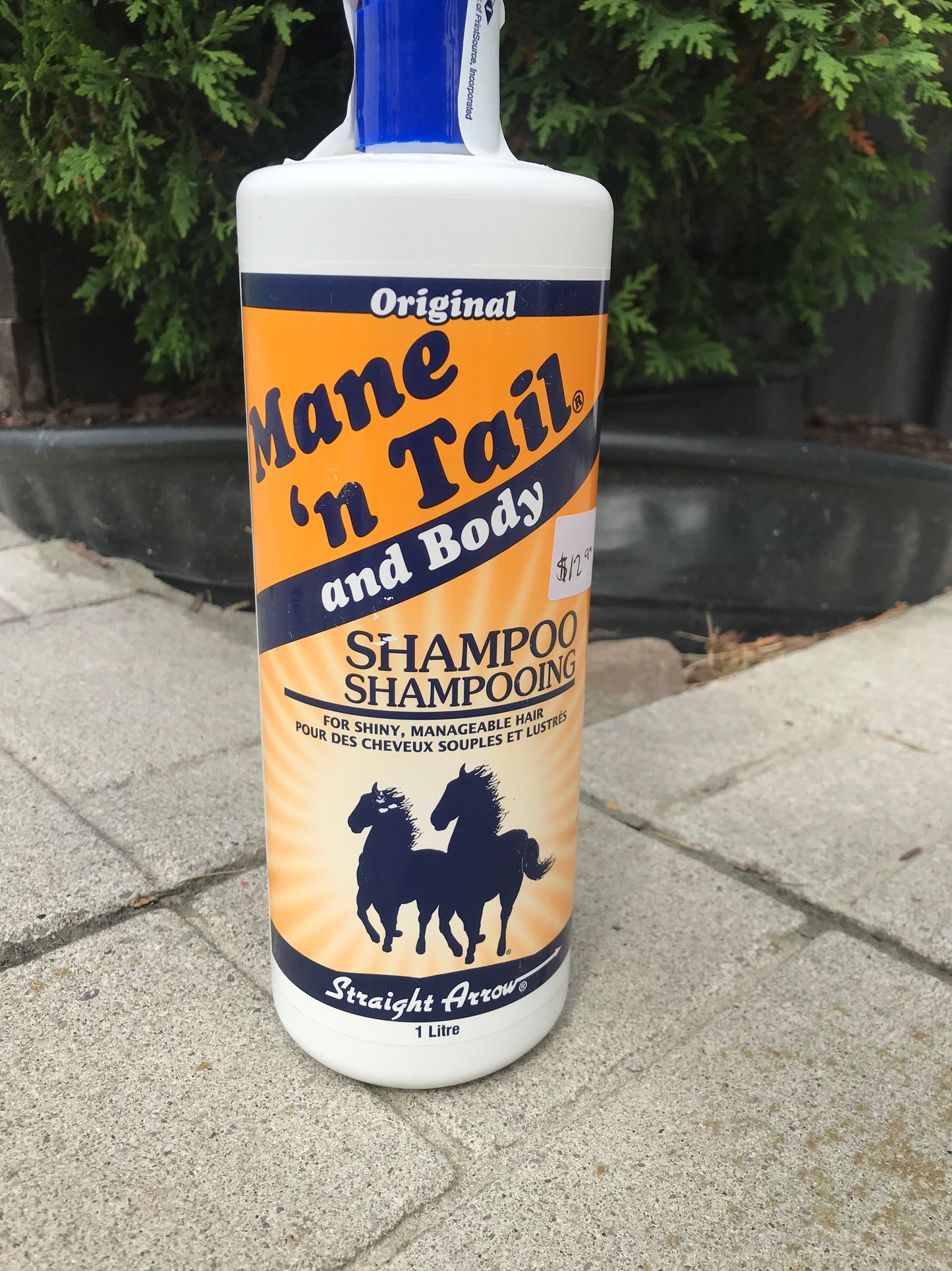 Mane n tail and body shampoo