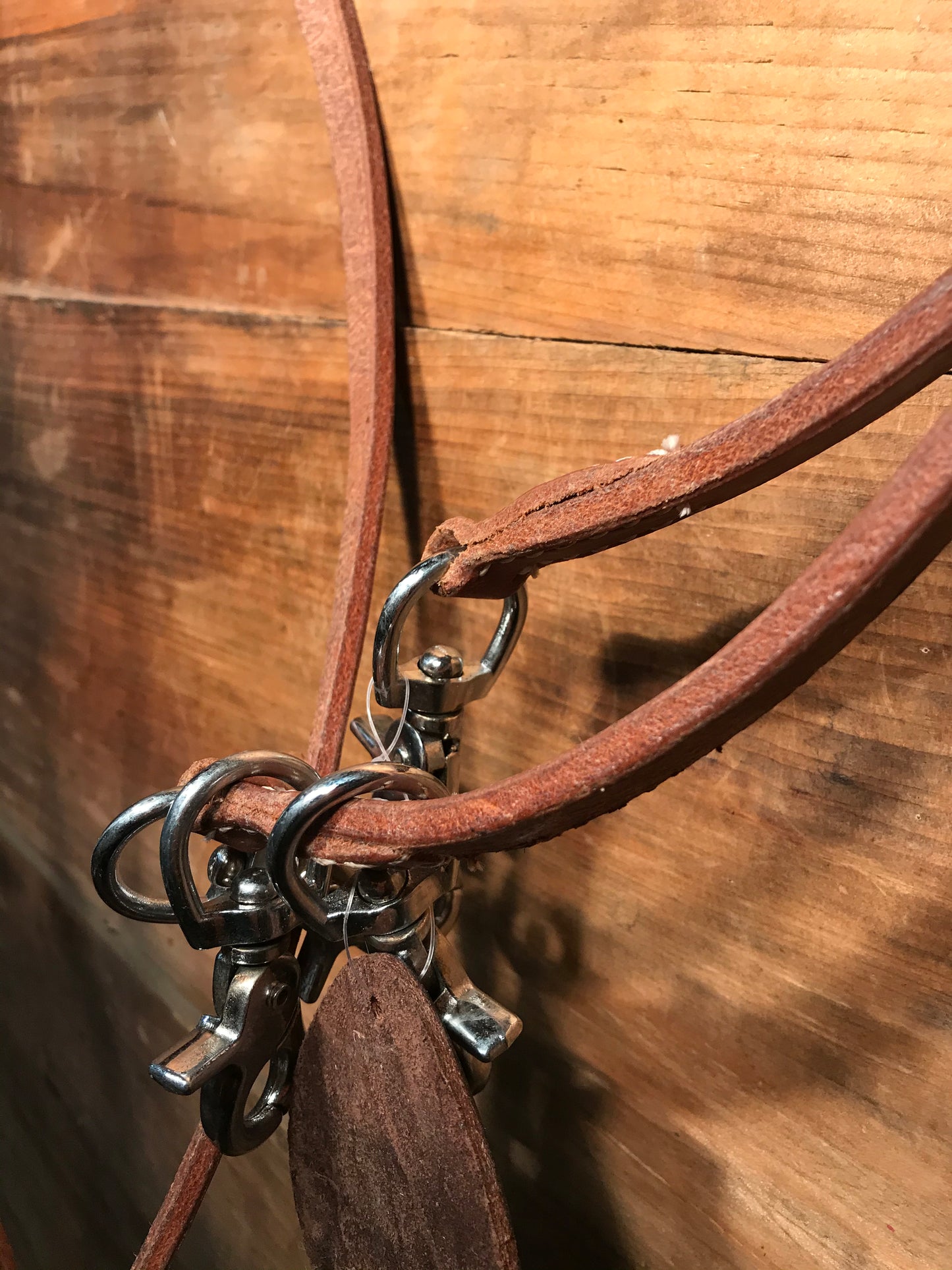 Argentina cow leather draw reins with scissor snaps