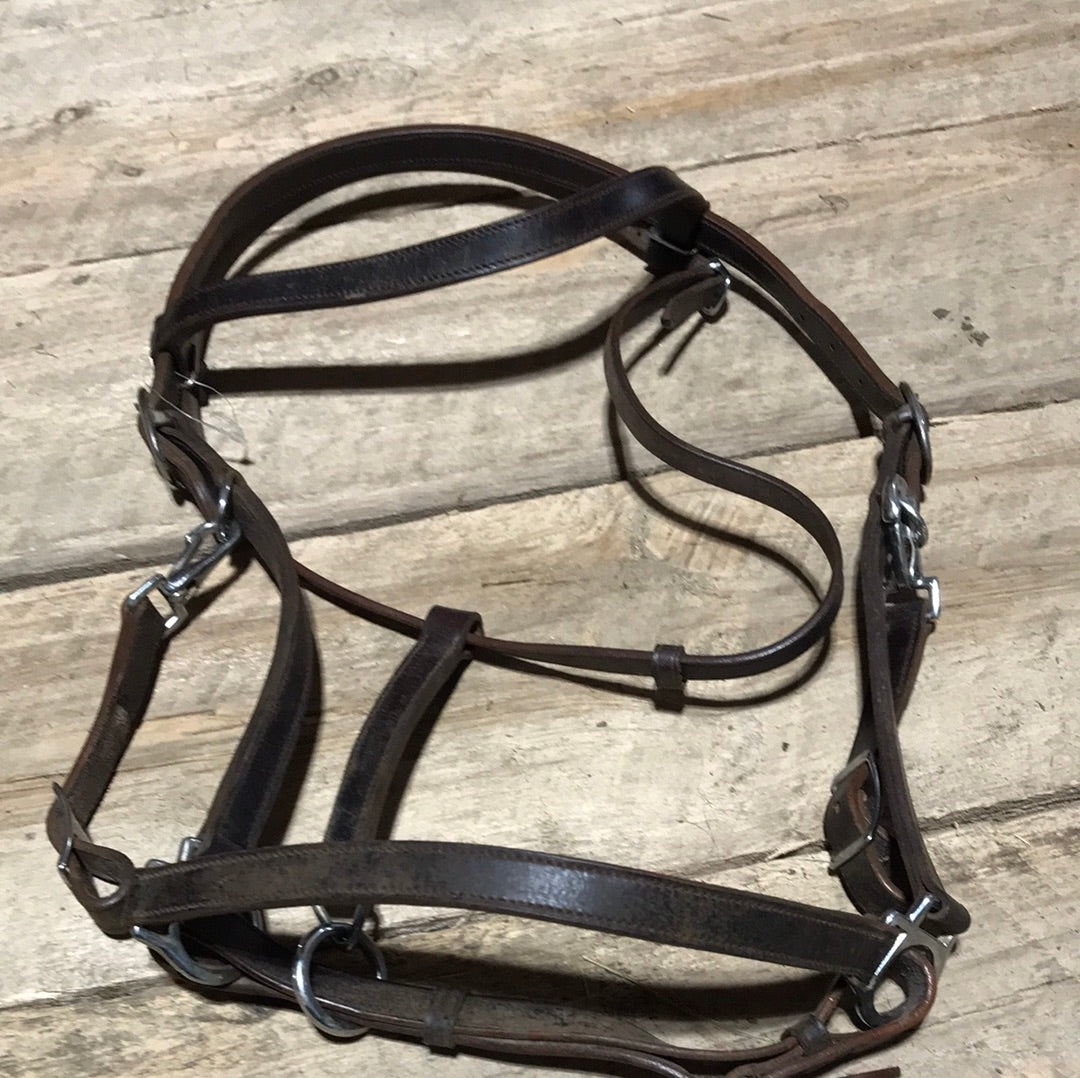 Trail halter/ bridle