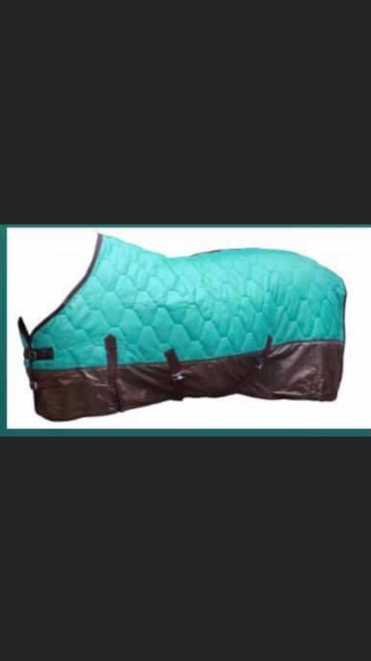 Teal quilted winter stable blankets