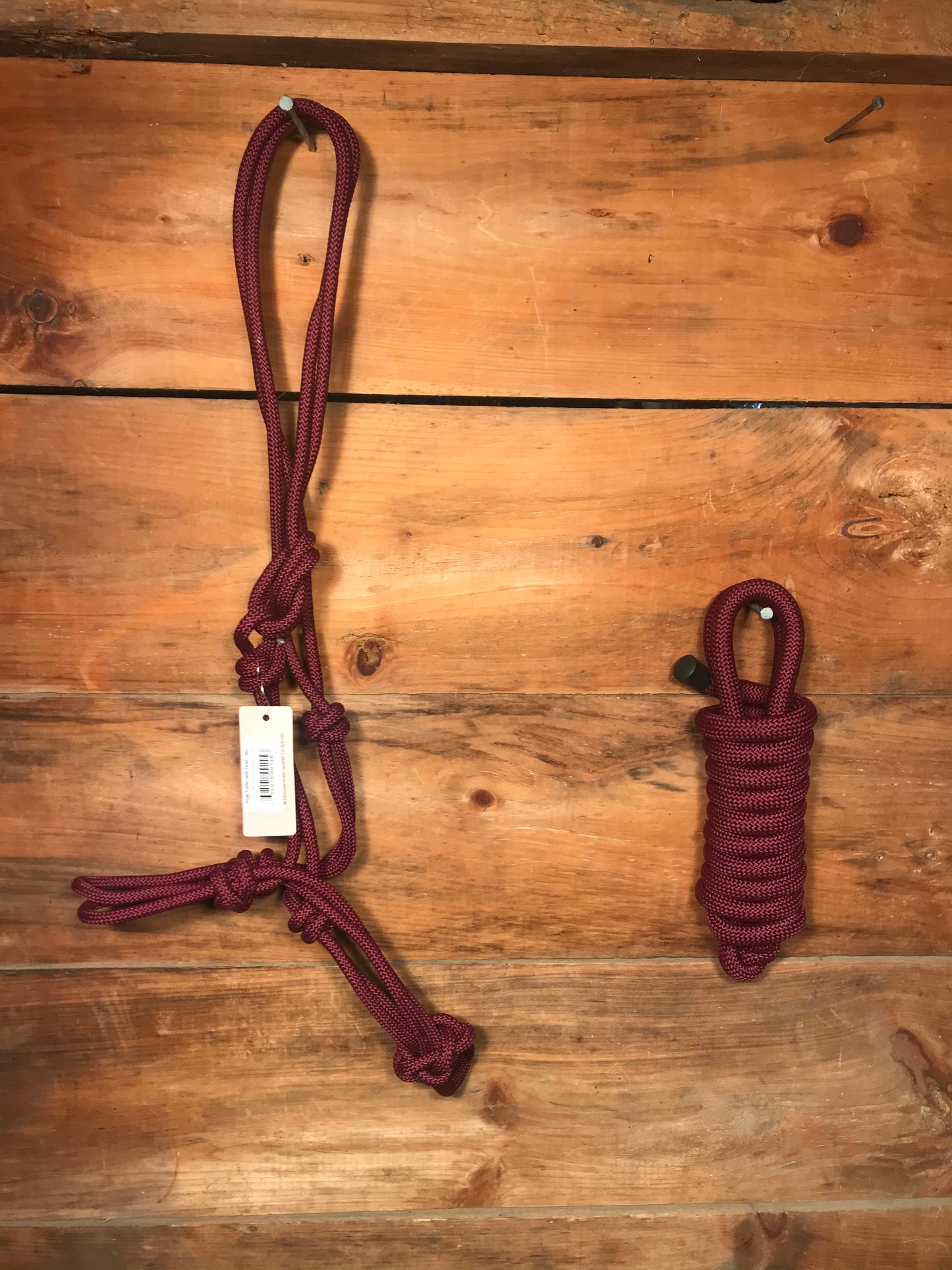 Burgundy rope halter and lead