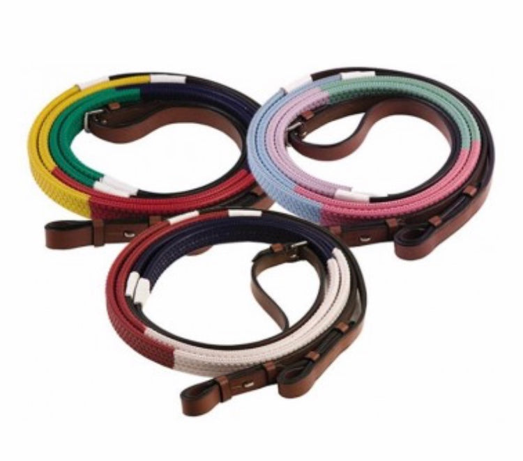 Coloured full size training reins
