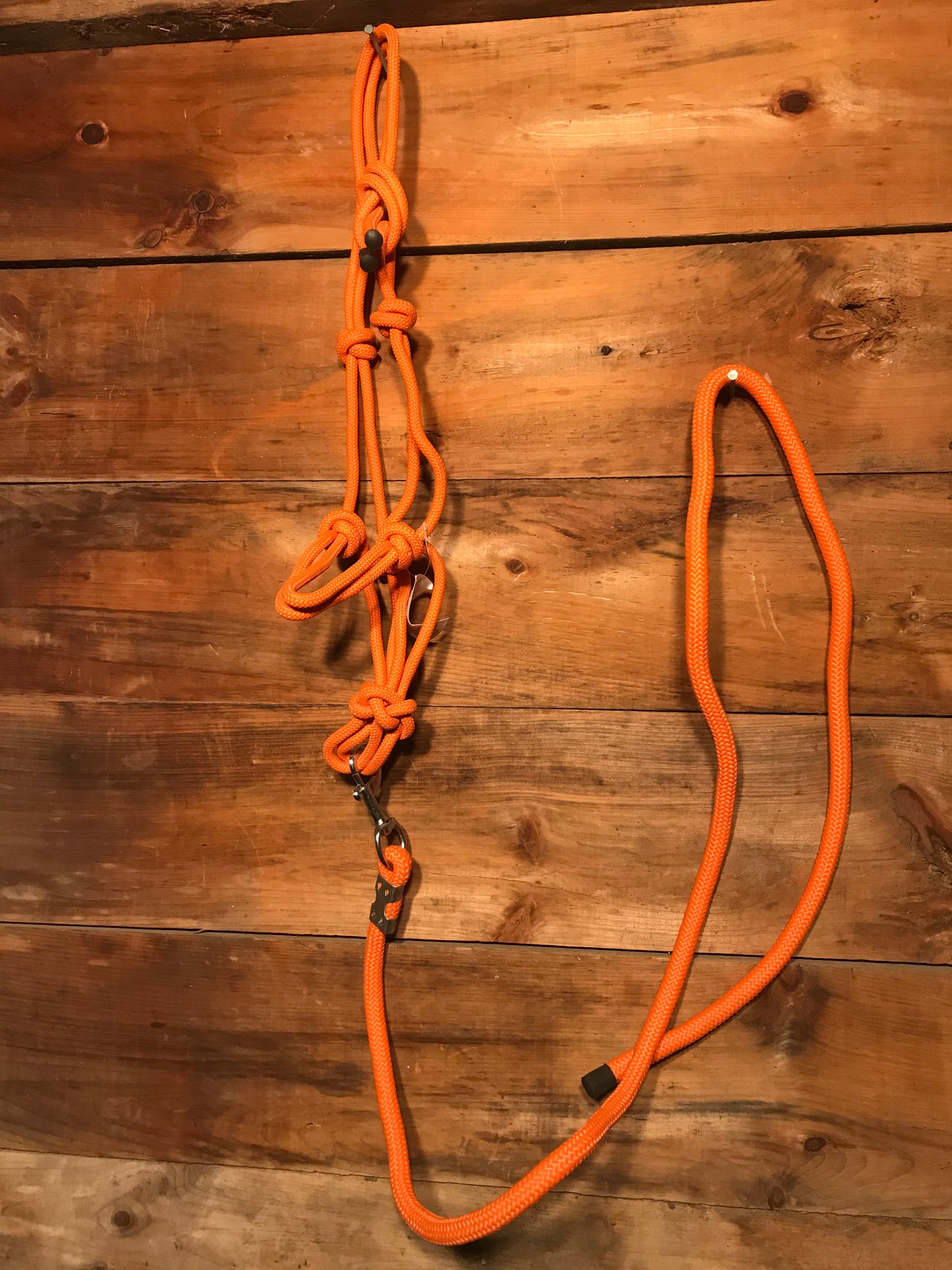 Thick Rope Halters with lead