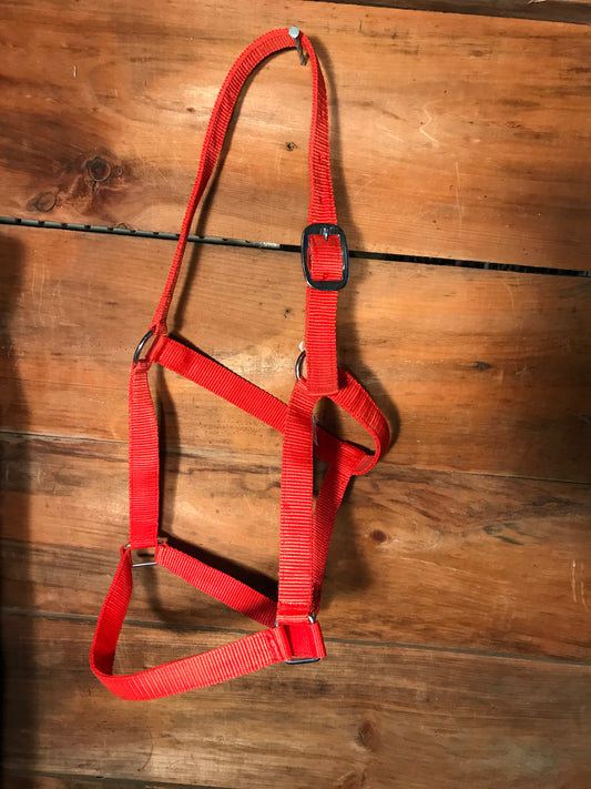 Red nylon halters full size