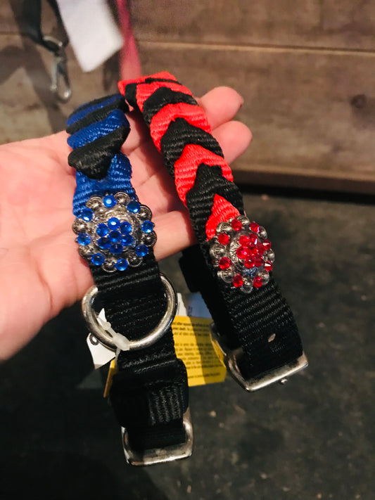 Braided nylon dog collars